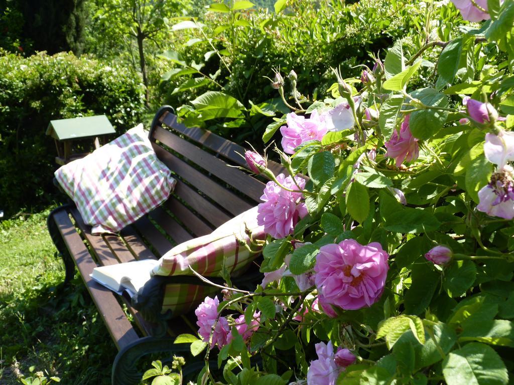 B&B The Roses Garden Millesimo Dış mekan fotoğraf