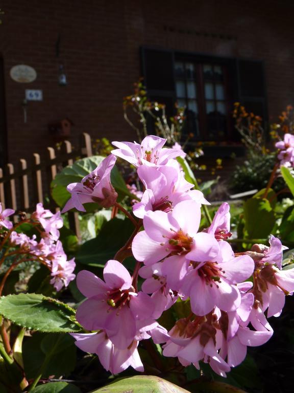 B&B The Roses Garden Millesimo Dış mekan fotoğraf
