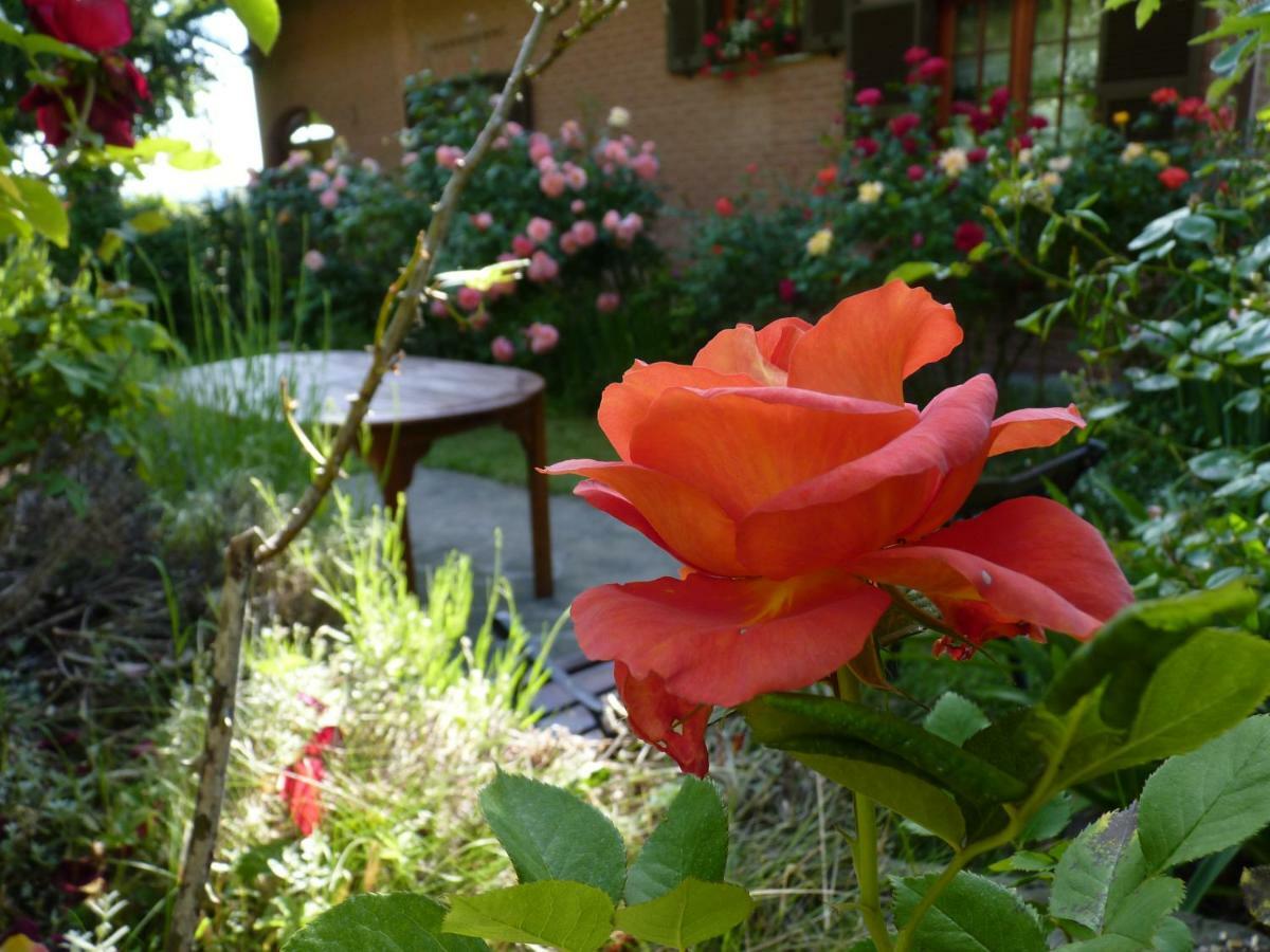 B&B The Roses Garden Millesimo Dış mekan fotoğraf