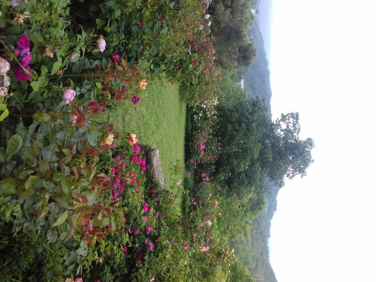 B&B The Roses Garden Millesimo Dış mekan fotoğraf